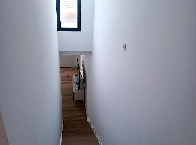 Fuerte Vibes In Prázdninový dům *